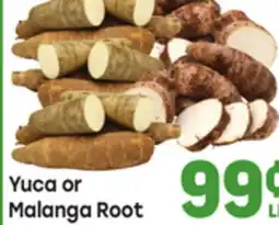 Tony’s Fresh Market Yuca or Malanga Root offer