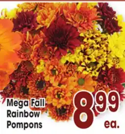 Jewel-Osco Mega Fall Rainbow Pompons offer