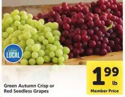 Safeway Green Autumn Crisp or Red Seedless Grapes offer