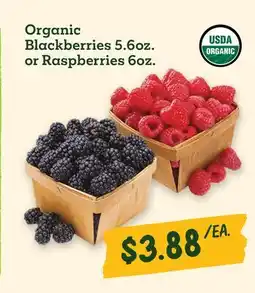 Sprouts Farmers Market Organic Blackberries 5.6oz. or Raspberries 6oz offer