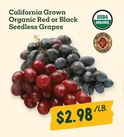 Sprouts Farmers Market California Grown Organic Red or Black Seedless Grapes offer