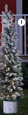 Ace Hardware I. 5' Prelit Color-Changing LED Flocked Slim Diamond Entrance Tree offer