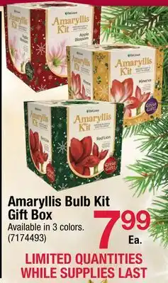 Ace Hardware Amaryllis Bulb Kit Gift Box offer