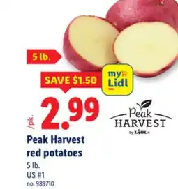 Lidl Peak Harvest red potatoes offer
