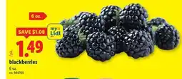 Lidl blackberries offer