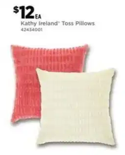 Dollar General Kathy Ireland Toss Pillows offer