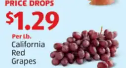 Aldi California Red Grapes offer