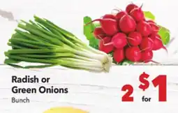 Vallarta Supermarkets Radish or Green Onions offer