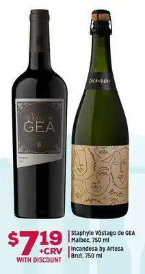 Grocery Outlet Staphyle Vástago de GEA Malbec, 750 ml, Incandesa by Artesa Brut, 750 ml offer