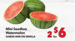 Vallarta Supermarkets Mini Seedless Watermelon / SANDIA MINI SIN SEMILLA offer