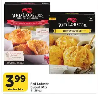 Vons Red Lobster Biscuit Mix offer