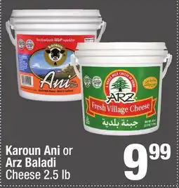 Super King Markets Karoun Ani or Arz Baladi Cheese offer