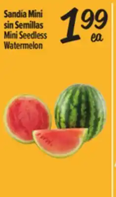 El Super Mini Seedless Watermelon offer