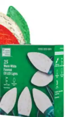 The Home Depot LED Faceted String Light offer