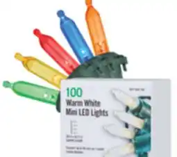 The Home Depot 100-Light LED Mini Set offer