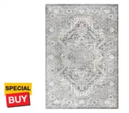 The Home Depot Jonathan Y 8'x10' Modern Persian Light Gray Area Rug offer