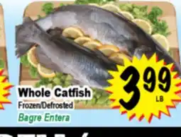 Superior Grocers Whole Catfish offer