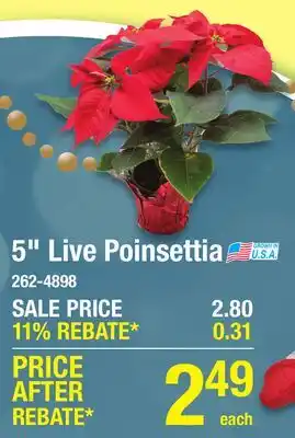 Menards 5 Live Poinsettia offer