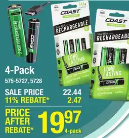 Menards 4-Pack offer
