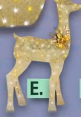 Menards 4'H Gold Doe offer