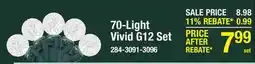 Menards 70-Light Vivid G12 Set offer