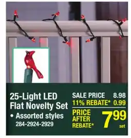 Menards 25-Light LED Flat Novelty Set offer