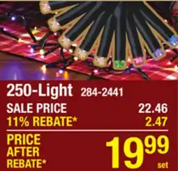 Menards Empress LED String Cluster Lights 250-Light offer