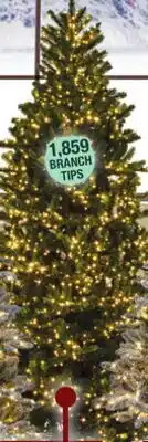 Menards 7-1/2'H Noble offer