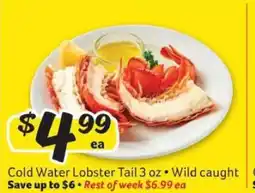 Winn Dixie Cold Water Lobster Tail offer