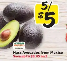 Winn Dixie Hass Avocados from Mexico offer