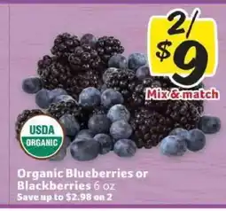 Winn Dixie Organic Blueberries or Blackberries offer