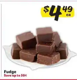 Winn Dixie Fudge offer