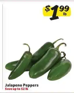 Winn Dixie Jalapeño Peppers offer