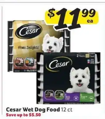 Winn Dixie Cesar Wet Dog Food offer