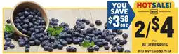 Food Lion Blueberries offer