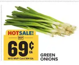 Food Lion Green Onions offer