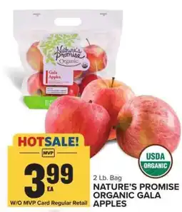 Food Lion Nature's Promise Organic Gala Apples offer