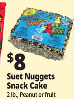 Ocean State Job Lot C&S EZ Fill Suet Cake or Snak Feeder offer