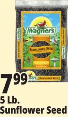 Ocean State Job Lot Wagner's Black Oil Sunflower Seed Wild Bird Food 5 lbs offer