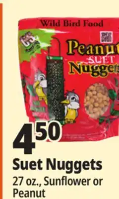 Ocean State Job Lot C&S Sunflower Suet Nuggets offer