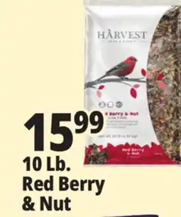 Ocean State Job Lot 10 Lb. Red Berry & Nut offer