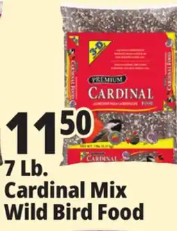 Ocean State Job Lot Better Bird Premium Cardinal Blend Bird Food 7 lbs offer