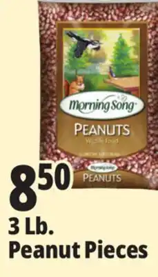 Ocean State Job Lot Morning Song Wildlife Food Peanuts 3 lbs offer