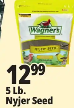 Ocean State Job Lot Wagner's Premium Nyjer Seed 5 lbs offer