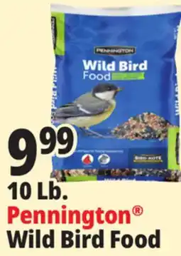 Ocean State Job Lot Pennington Wild Bird Food 10 lbs offer