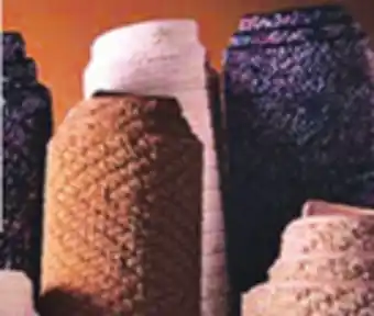 Ocean State Job Lot Bound Carpets 2'x3' offer