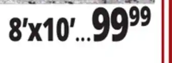Ocean State Job Lot 8'x10' offer