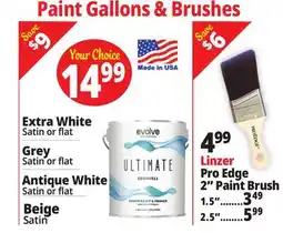 Ocean State Job Lot Paint Brushs offer