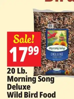 Ocean State Job Lot Morning Song Deluxe Wild Bird Food 20 lbs offer