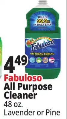 Ocean State Job Lot Fabuloso All Purpose Cleaner offer